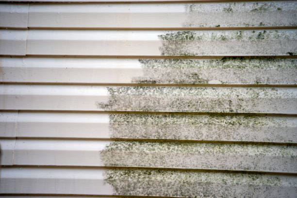 Best Weatherproofing and Sealing  in White Oak, MS