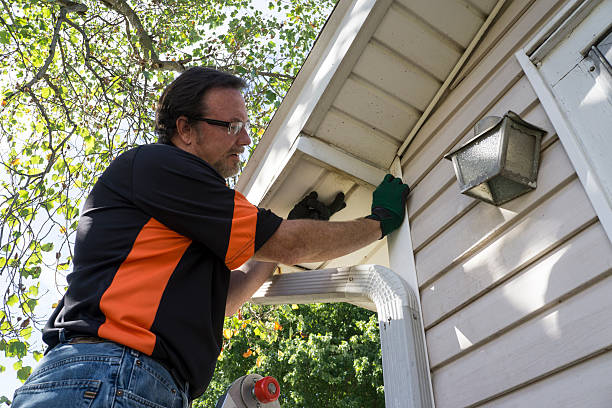 Best Siding for New Construction  in White Oak, MS